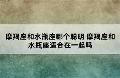 摩羯座和水瓶座哪个聪明 摩羯座和水瓶座适合在一起吗